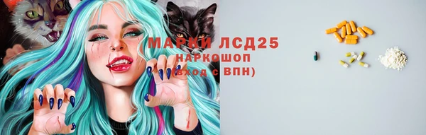 ECSTASY Краснослободск