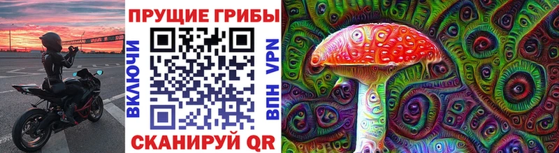 Галлюциногенные грибы Psilocybe  Купить закладки  Полярный 