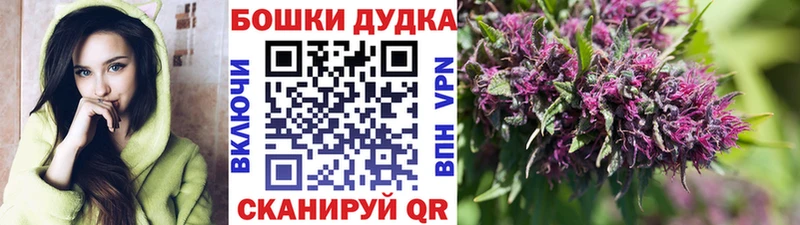Купить где Полярный Бошки Шишки семена