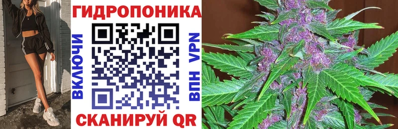 Канабис OG Kush Полярный